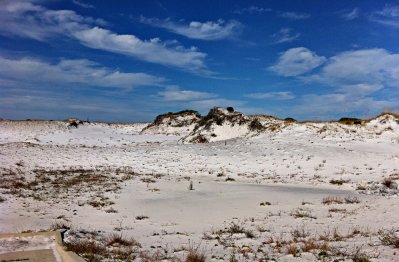 Dunes at the Park